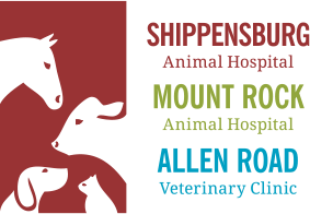 Shippensburg Animal Hospital
